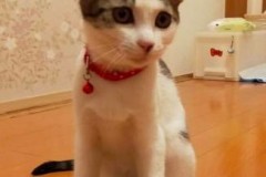 おっとりさんの甘えたちゃん(*^-^*)