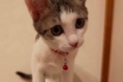 おっとりさんの甘えたちゃん(*^-^*)