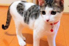 おっとりさんの甘えたちゃん(*^-^*)
