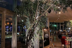 P039066858_480